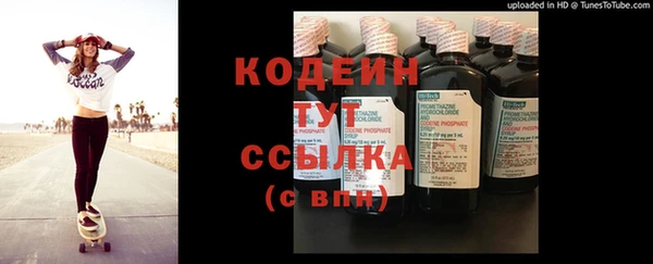 ГАЛЛЮЦИНОГЕННЫЕ ГРИБЫ Козловка