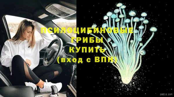мяу мяу мука Кинешма