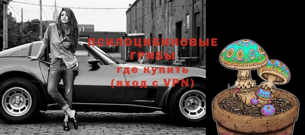 ГАЛЛЮЦИНОГЕННЫЕ ГРИБЫ Козловка