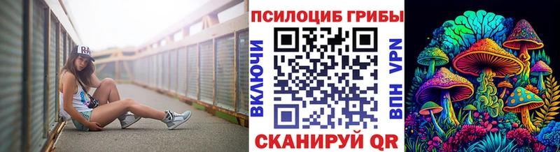 Купить  Кингисепп  Псилоцибиновые грибы Cubensis 
